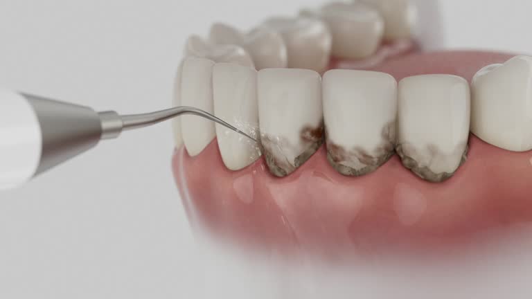 Reliable Dental contractor in Westwego, LA by Dentist Open Now